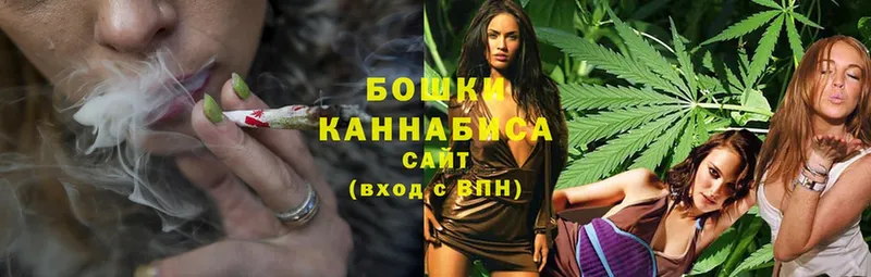 купить наркотик  Лыткарино  Бошки Шишки SATIVA & INDICA 